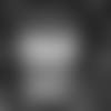 E_SZ3_2990-roberts-thumb