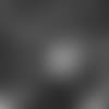 E_SZ1_3789-marcus-thumb