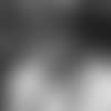 Gase-Crop-IMG_6555