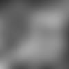 dl-preview-E_SNY_7572