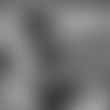 E_SZ4_1407-johnson-thumb