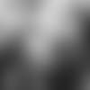 E_1D2_8221-harrison-thumb