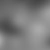E_snyl1313-kalil-thumb