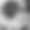 E_sz3_2838-poole-thumb