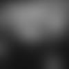 E_SNY_7937-taste-story-thumb
