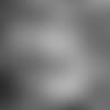 MK2_1242-darnold-thumb