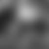 E_SZ3_0383-compton-thumb