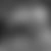 E_SZ3_1373-ol-thumb
