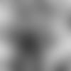 edge-fa-preview-E_SZ1_1666
