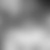 E_SZ5_0892-darnold-thumb
