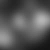 E_SR5_1595-becton-thumb