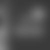 191215-inactives-2560