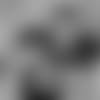191205-profiling-the-past-2560