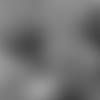 190214-Howie-Ferguson-profiling-the-past-2560
