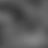 2022-family-night-graphic-2560