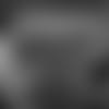20190110_prn_full-show
