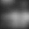 20191124_mccourty press.02