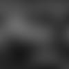 20190123_PRN