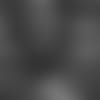 20191217_JAMES WHITE PC 1