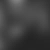 20191223_WHITE PC 2