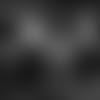 20190111_PRN