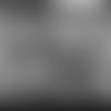 vlcsnap-2021-01-03-13h19m42s247