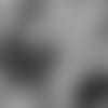 50615_8_3084221395