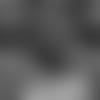 20191127_JAMES WHITE PC