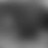 20190201_prn2-careone