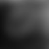 20190130-prn-fullshow-gillette