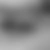 50615_8_3967640371