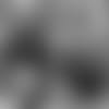 50615_8_1197560751