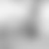 20190128-PDC003-TFGreen