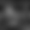 20190125_PRN