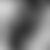 20190127-prn-landing
