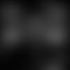 20210101_LGUY_PC1