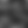 20191127_DMCCOURTY PC 2