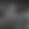 20190109_PRN_FINAL