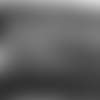 stadium-121119_4