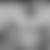jeremiah-owusu-main-012621