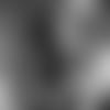 woodson-thumb-12521-main
