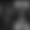 ingold-screenshot-pr-release-advice