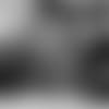dogs-main-062719_v2