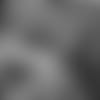 FLOF-logo-CTA-2560x1440