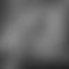 SEA18063_CenturyLink_Sausage_Stadium_ProResHQ