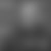 20181212_CARROLL_POCKET
