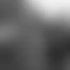 20191020_12FLAG_MCCREADY