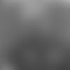 20181112_SCHOTTY_thumb