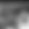 20190111ssn