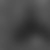 20180923_CARSON_POCKET
